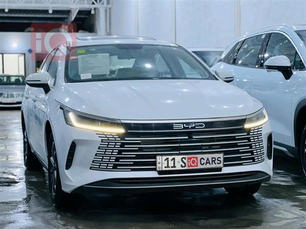 بي واي دي ديستروير 05 2025 للبيع في العراق - النجف